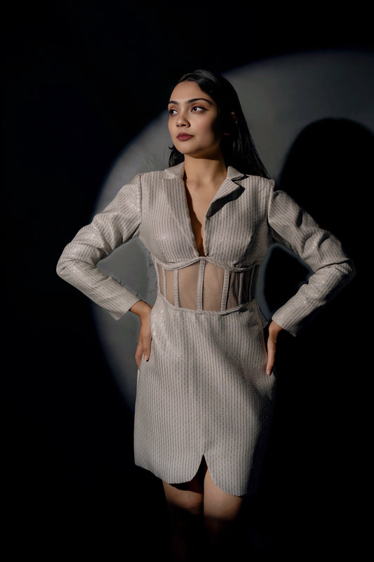 Silver Corset Dress